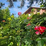 Park Apartment
