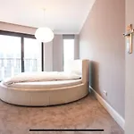 Angel 509