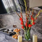 Apartament Jacuzzi