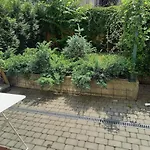 Centrum Krakowa, Apartament Z Ogrodem I Parkingiem