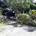 Apartament Krakowski
