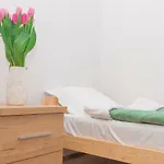 Wielopole Apartment 10