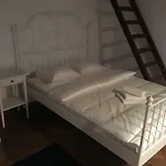 Przestrzenny apartament w centrum Krakowa.