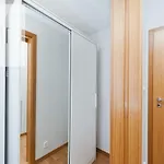 Charming And Bright- Golden Apartments- Old Town