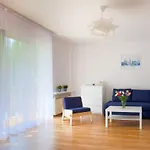 Apartament Pod Winogronami
