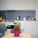 Apartament Lipska 4