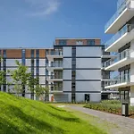 Rakowicka 20H Apartments By Let\'S Krakow