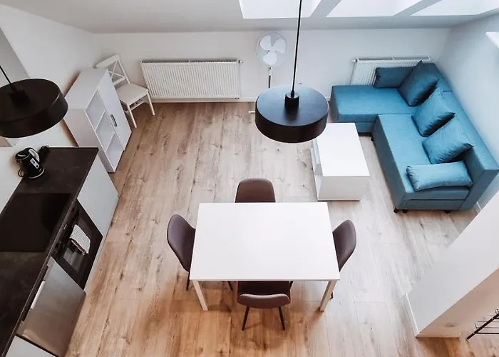 Cozy Spacious Apartment 7