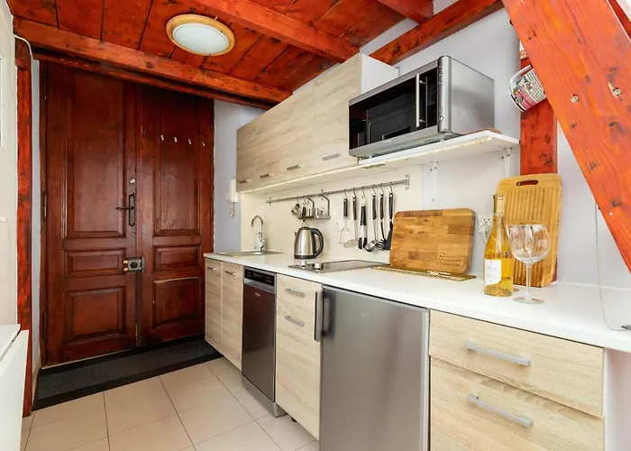 Mezzanine Microapartment