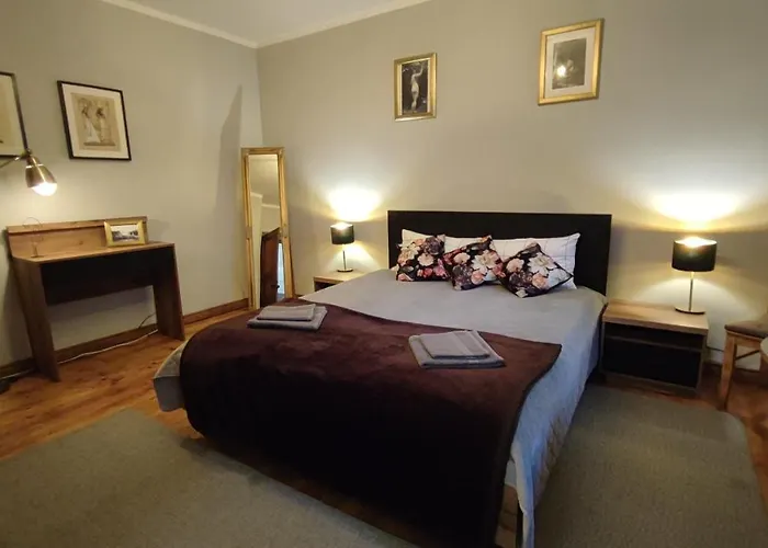 Singer Apartament