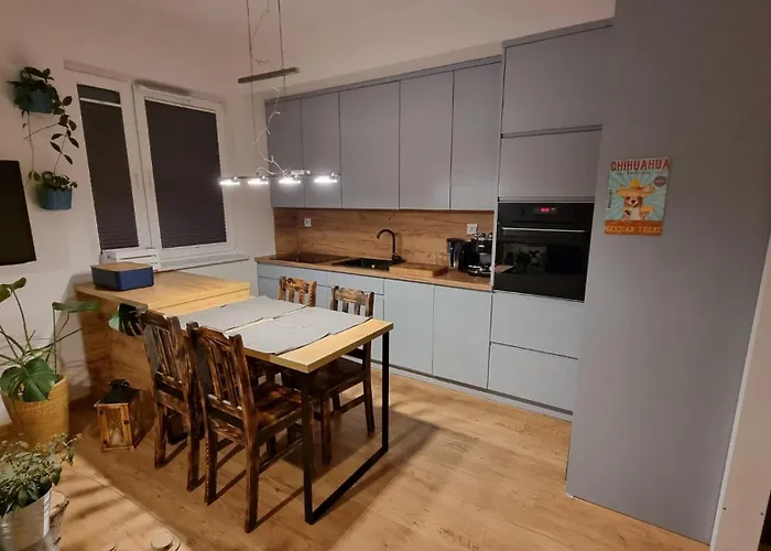 Chihuahua_Apartaments