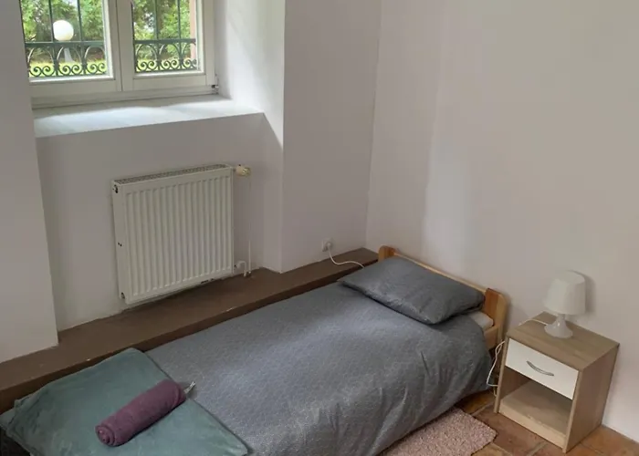 Central And Affordable Room In Basement