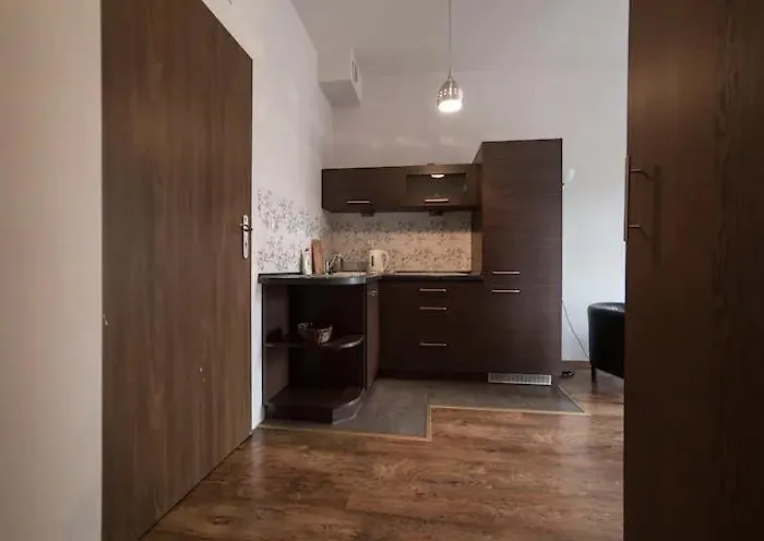 Przytulny Apartament Kos W Sercu Krakowa