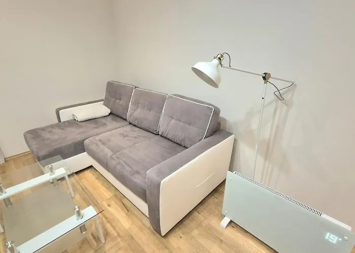 Topolowa Apartament Z Klimatem- Topolowa/Rynek/Pkp