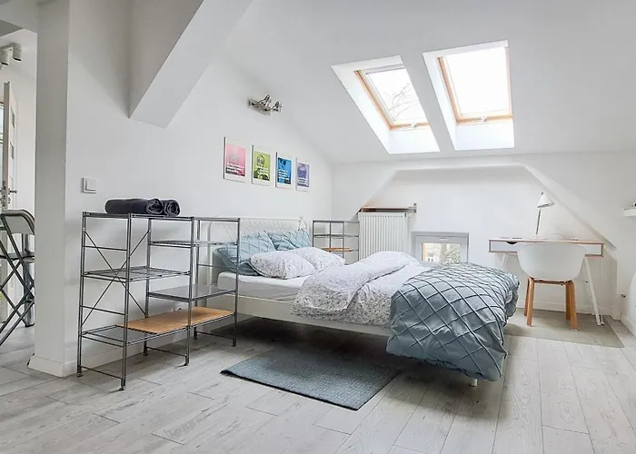 Lion Apartments