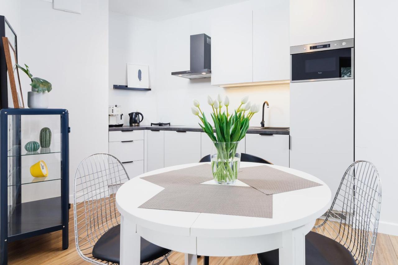 3d Wilga By Renters *