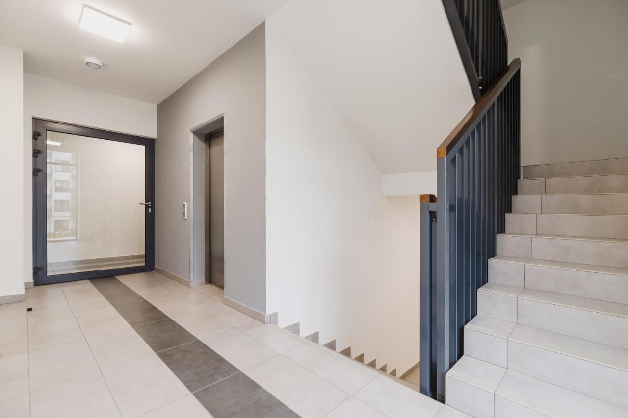 3d Wilga By Renters
