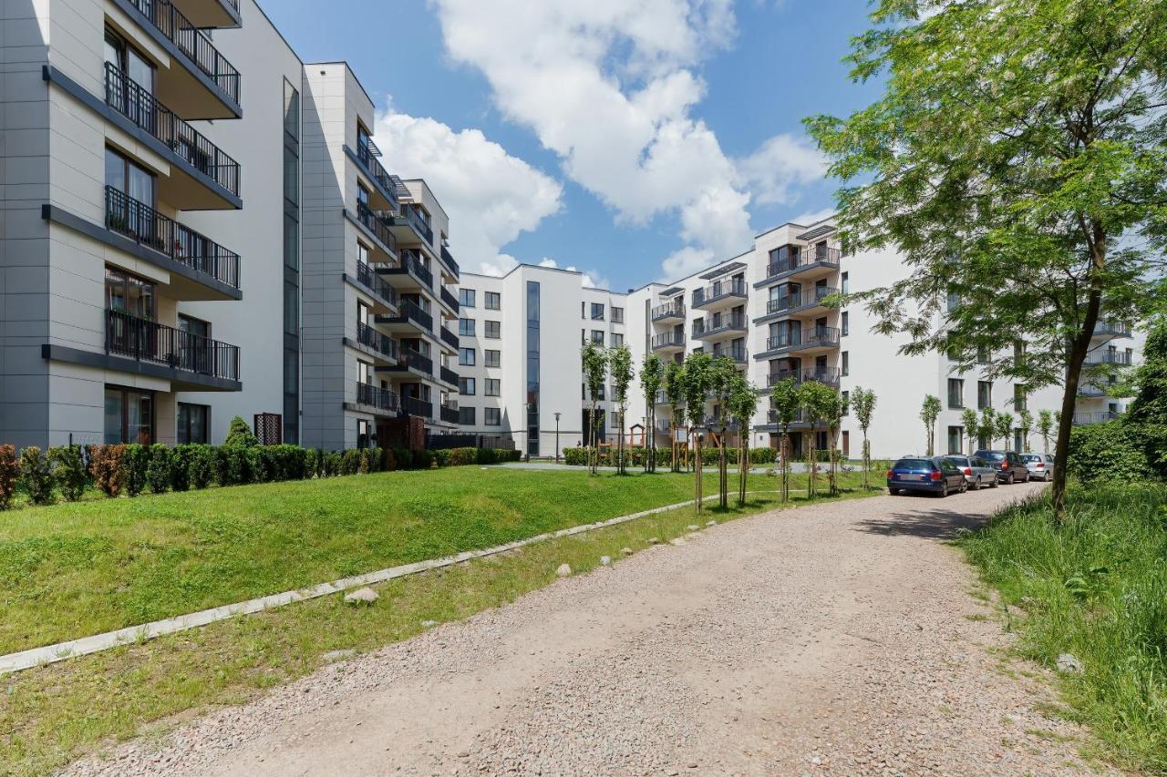 3d Wilga By Renters