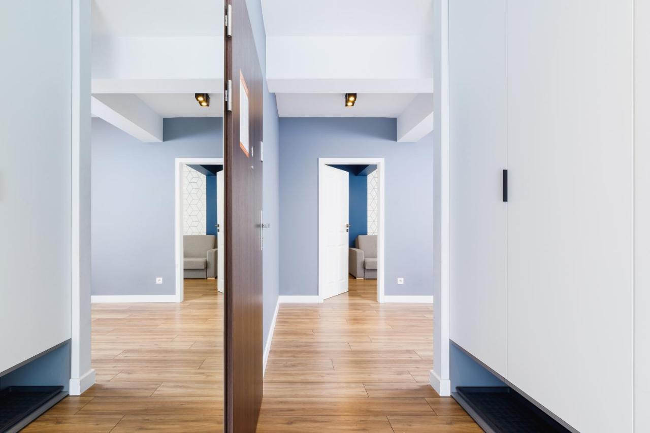 3d Wilga By Renters