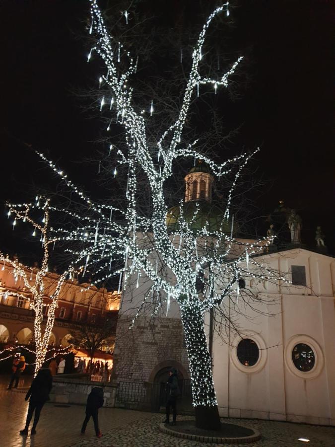 Ap4you Tauron Cracow *