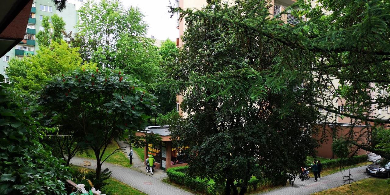 Goscinne Homestay