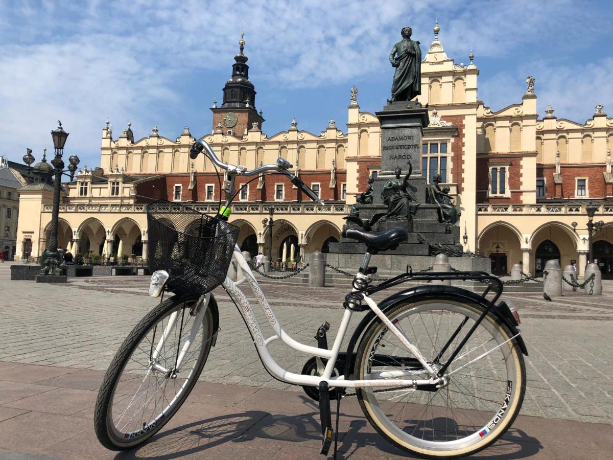 Jacuzzi & Bike Apartment, *