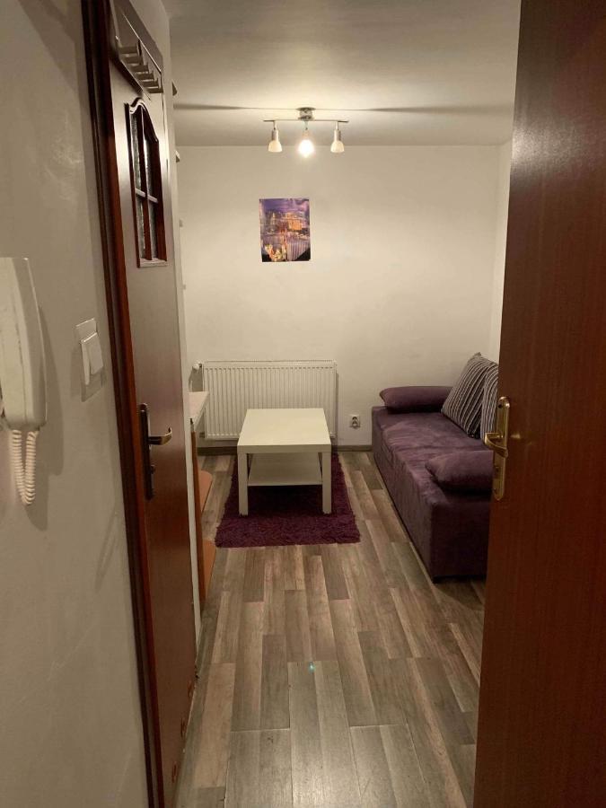 Apartment Cozy Studio