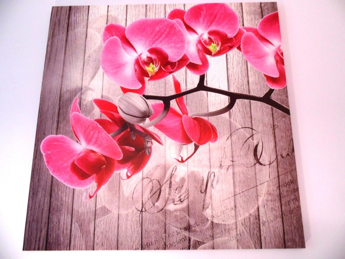 Orchidea *