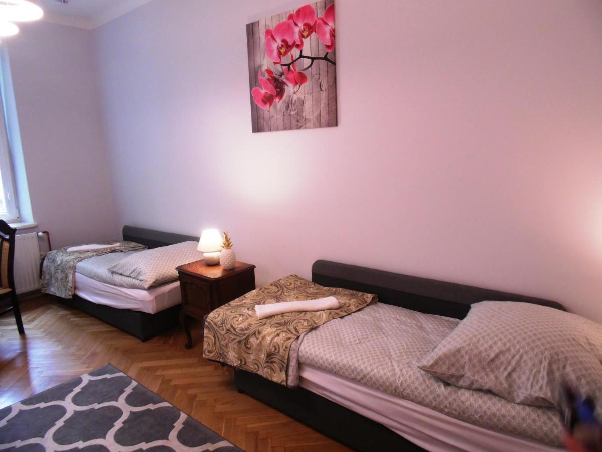 Orchidea Kraków