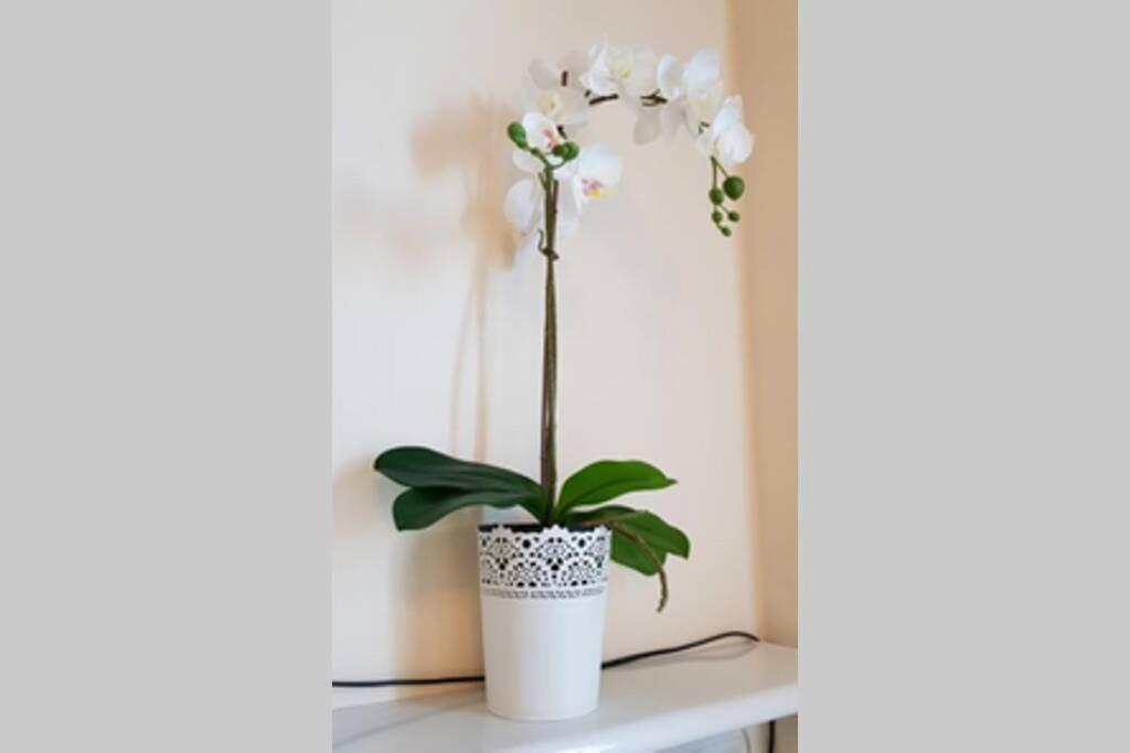 Apartamento Cozy Modern Astoria Magic Orange Old Town *