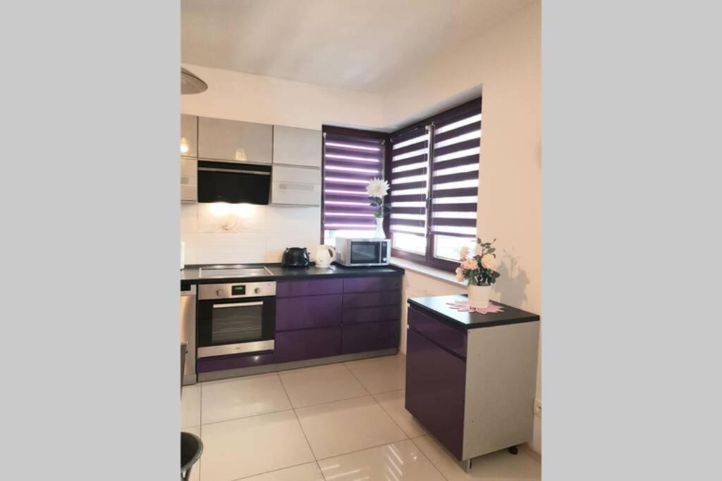 Luxury Kings 50m2 2 Pok. Downtown Dobrego Pasterza Piękny Apartament