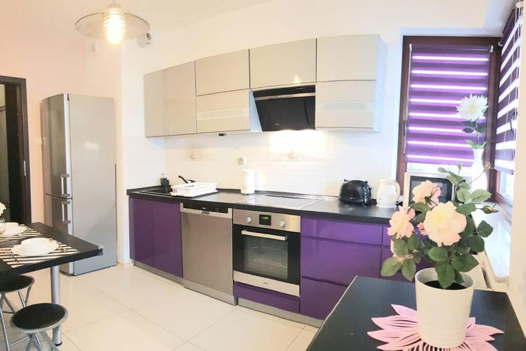 Luxury Kings 50m2 2 Pok. Downtown Dobrego Pasterza Piękny Apartament