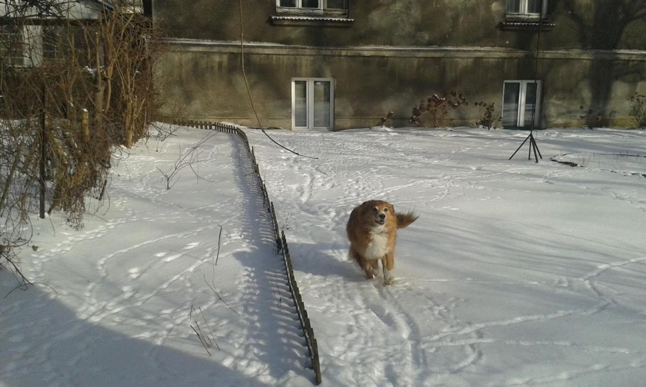 Apartament Pokój *