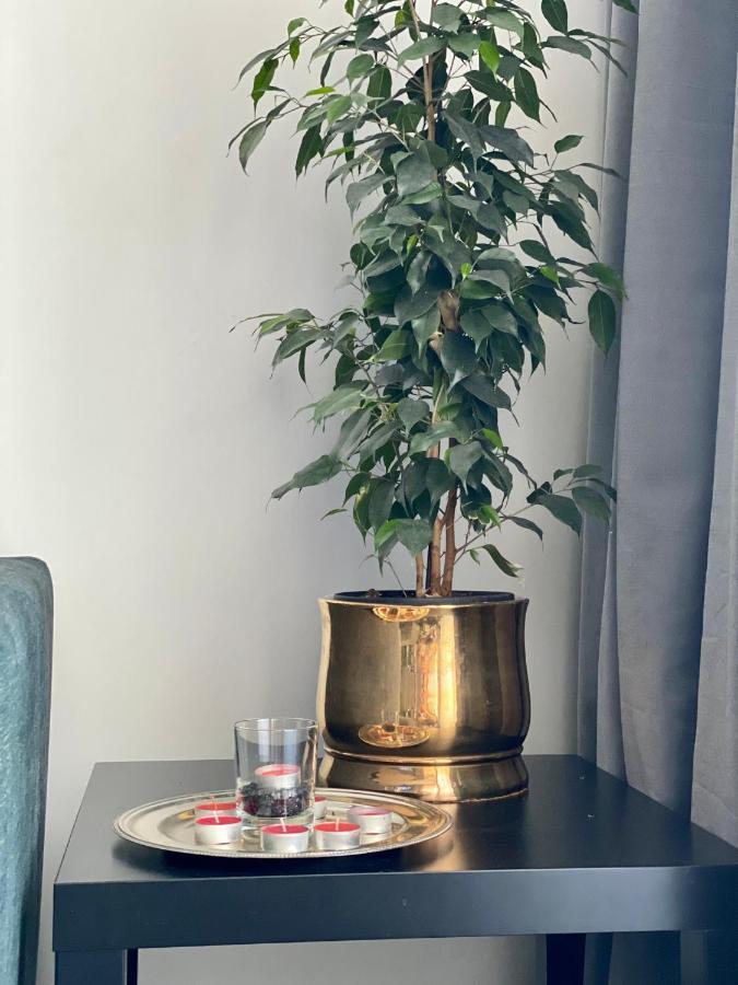 Apartament Z Widokiem Na Kazimierz/forum Przestrzenie *