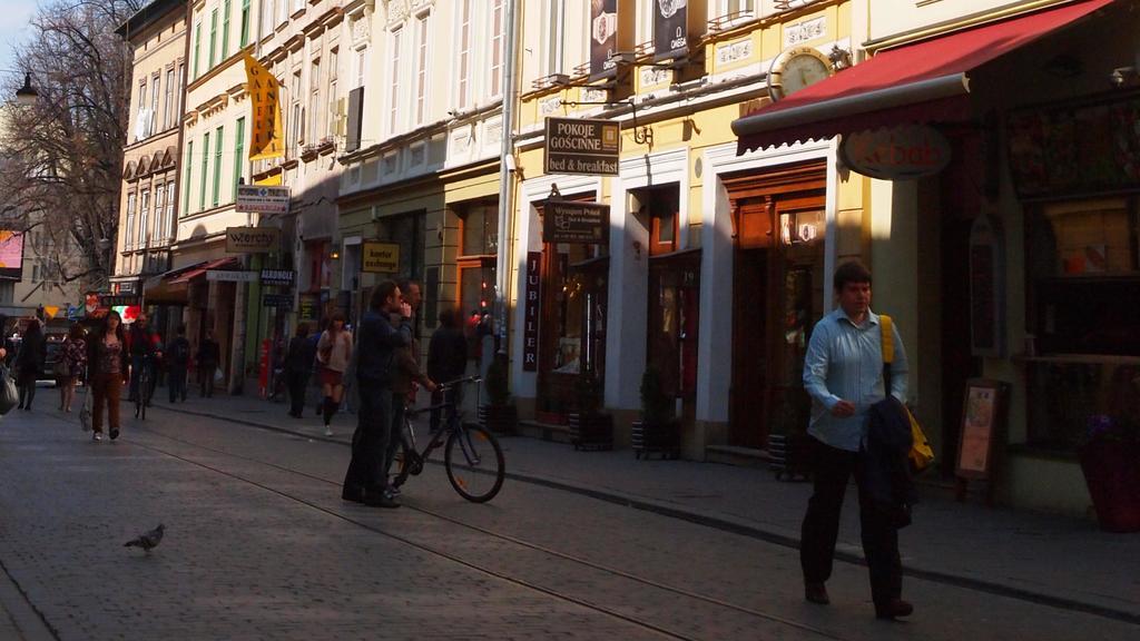 Golden Lion Guest Szewska 19 Aparthotel Krakow