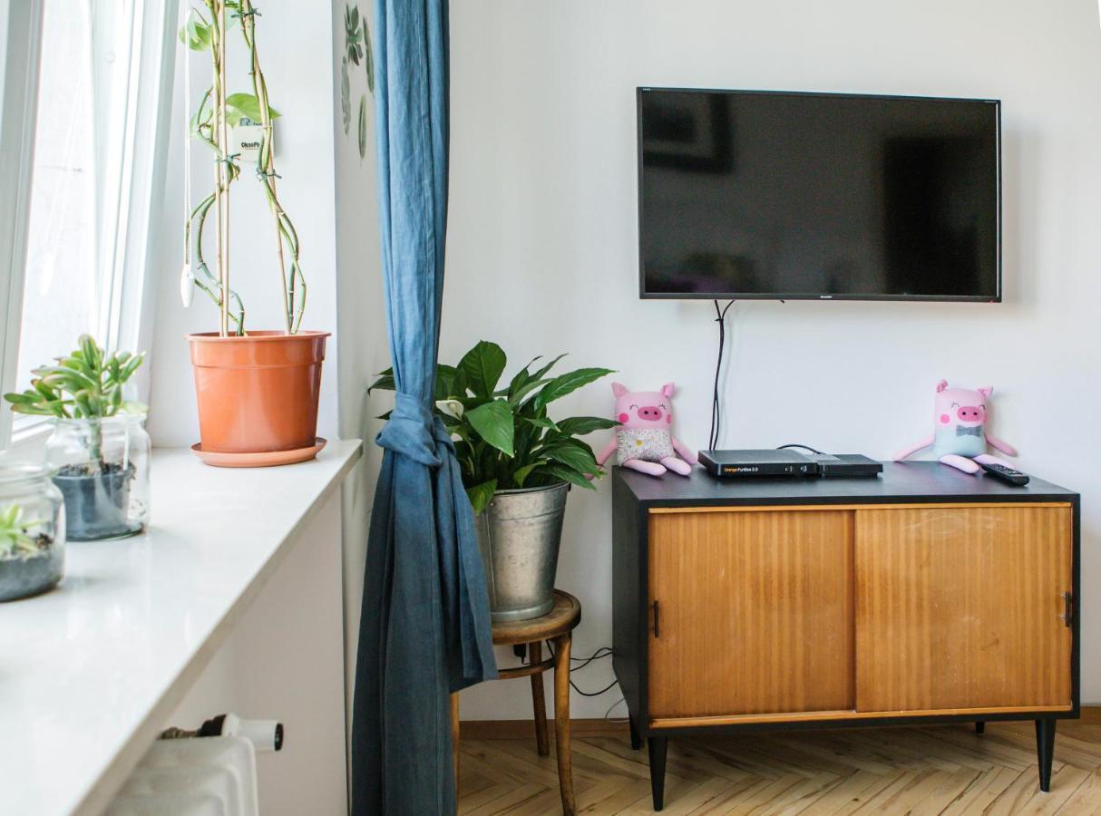 Cosy 2 Apartment