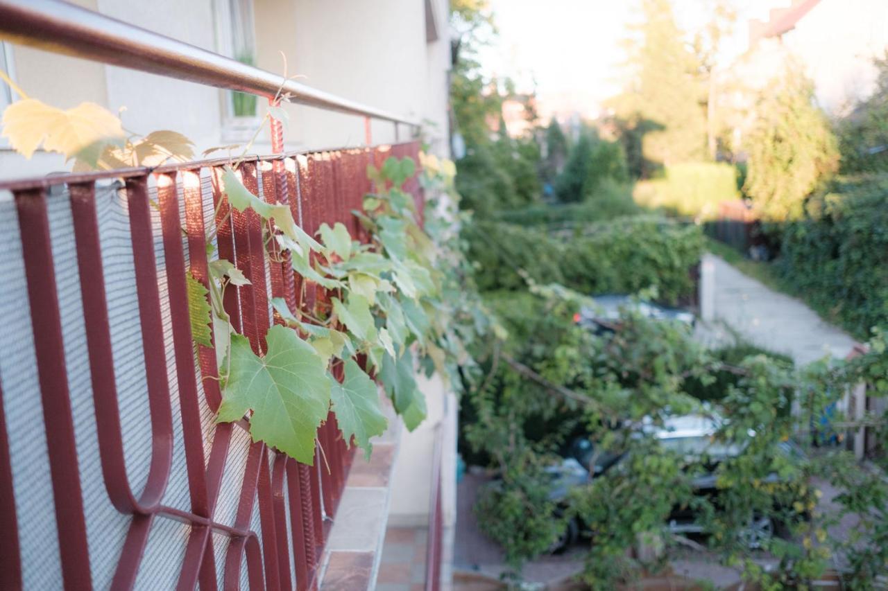 Fredry 15f Homestay Krakow