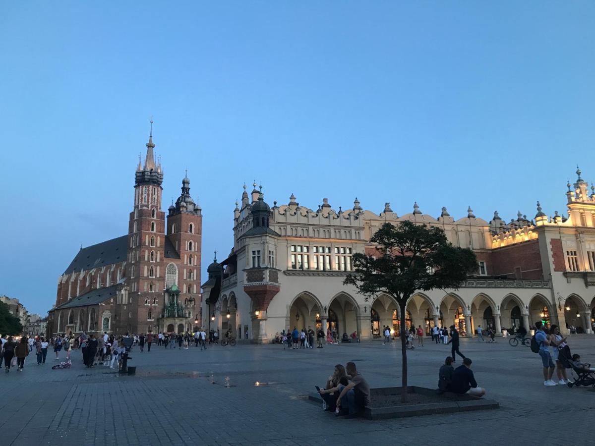 Blueberry * Krakau