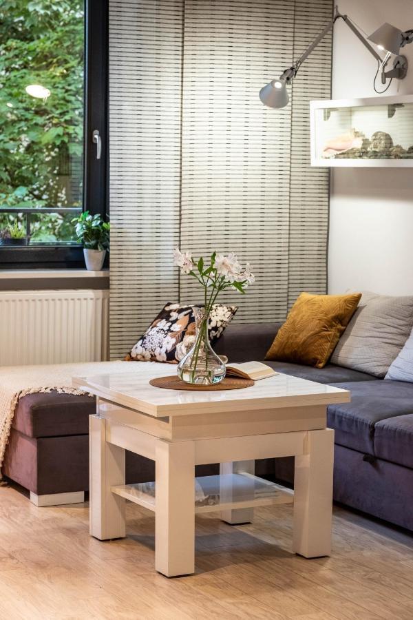 Smart Executive Apartment Krakau