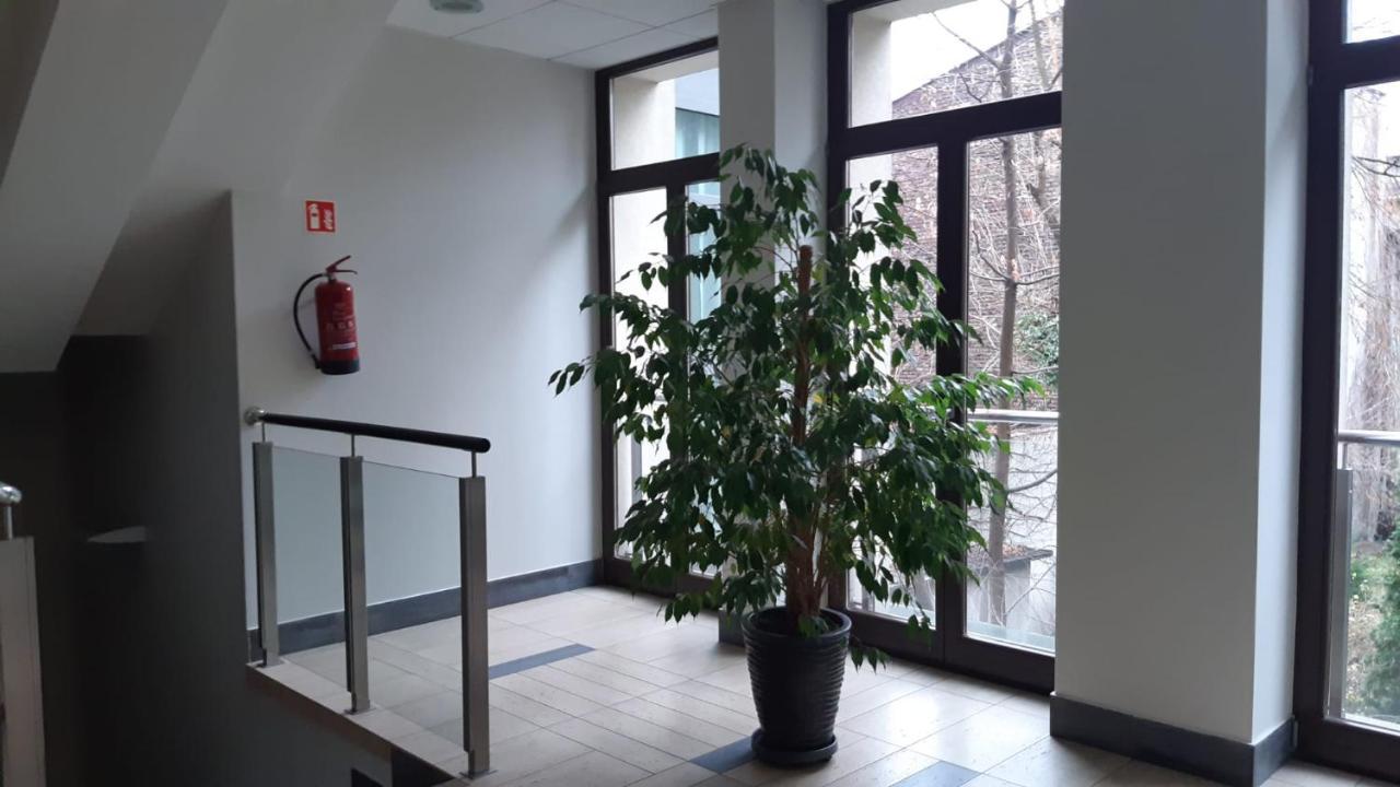 Apartament Wielopole 17 *