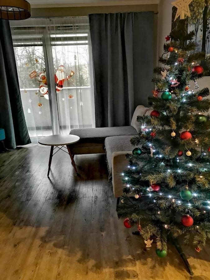 Uroczy Z Garazem Apartment Krakow
