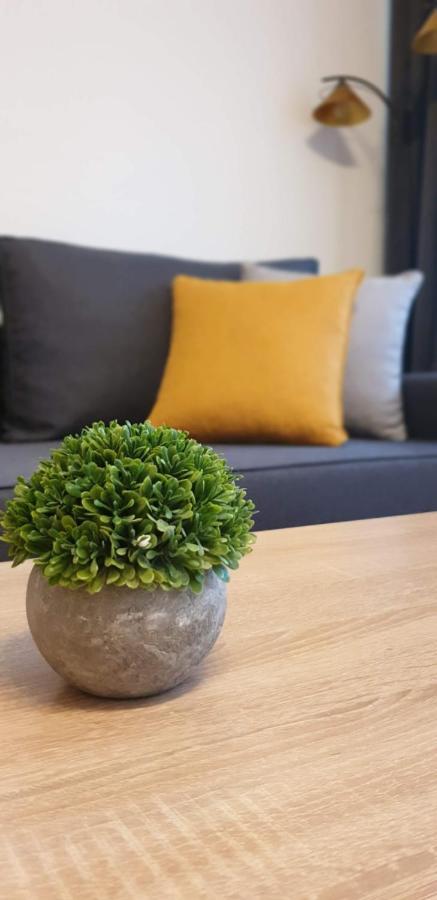 Apartament Barbary