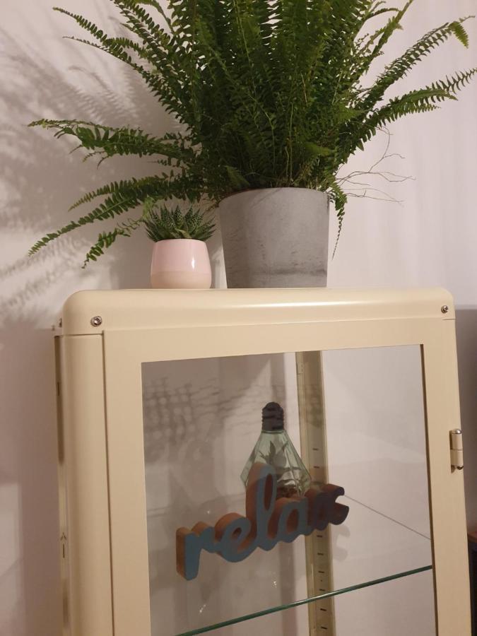 Moti Apartament