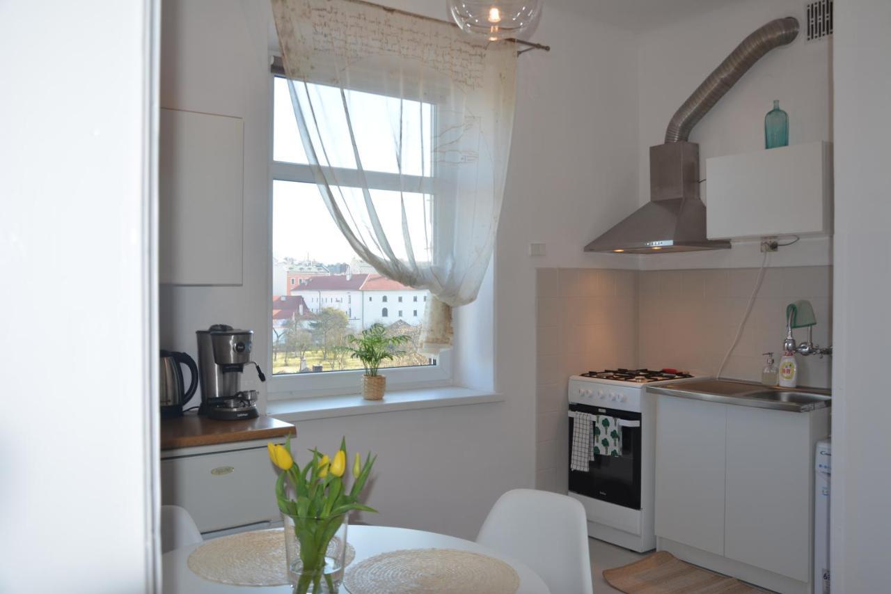 Wanner Studio/Old Town/Center Apartamento