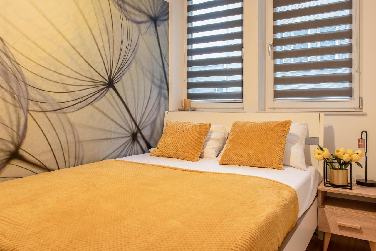 3d Kosciuszki 19 Apartament