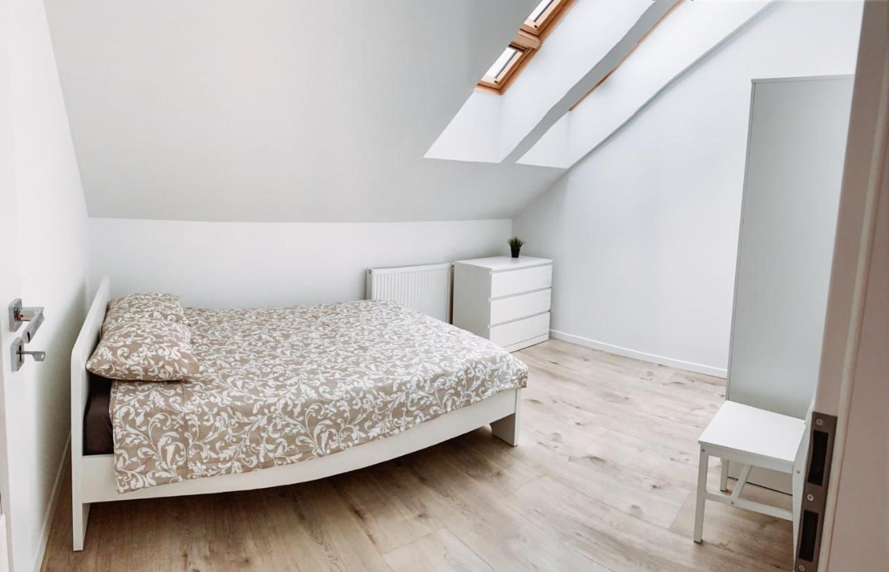 Cozy Spacious Apartment 7 * Krakow
