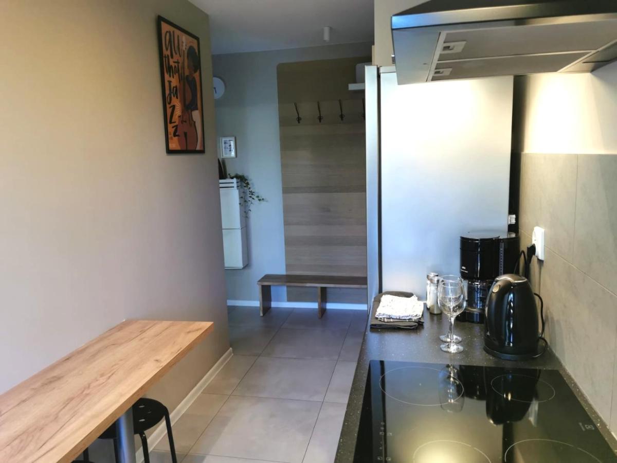 Apartament Wygoda Old Town Deluxe Wawelofts Apartament Kraków