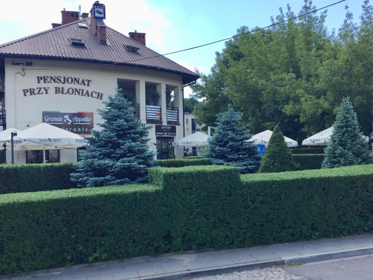 Gasthof Przy Bloniach