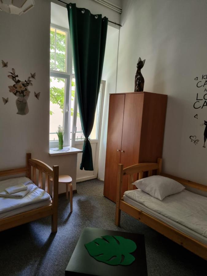 Cat Hostel