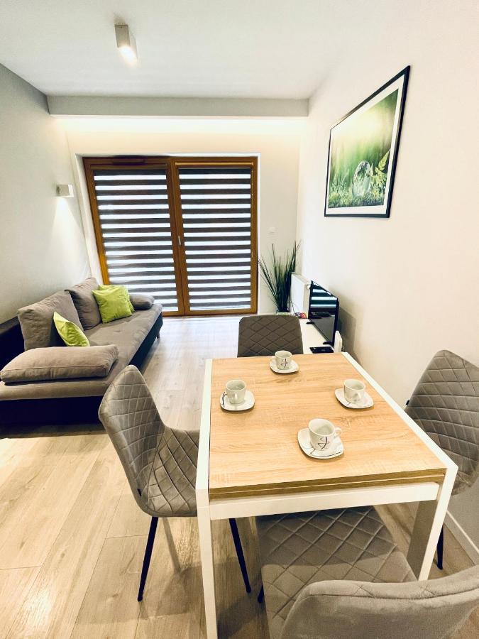 Modern Silver Apartament